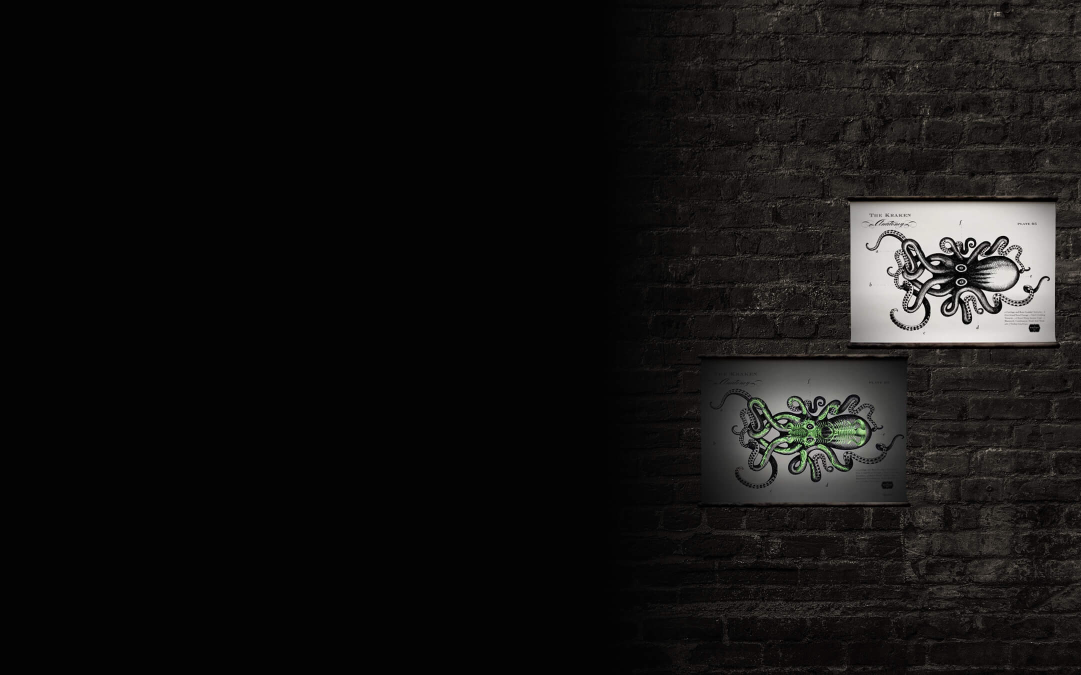 Two pieces of Kraken artwork on a brick wall